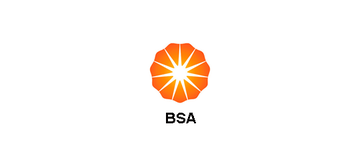 Bright Sun Agency LLC